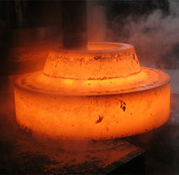 Forged Flanges